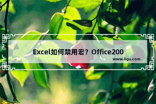 Excel如何禁用宏？Office2007禁用宏方法详解