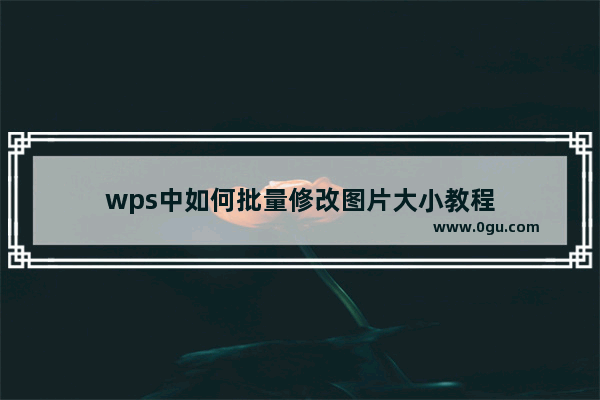 wps中如何批量修改图片大小教程