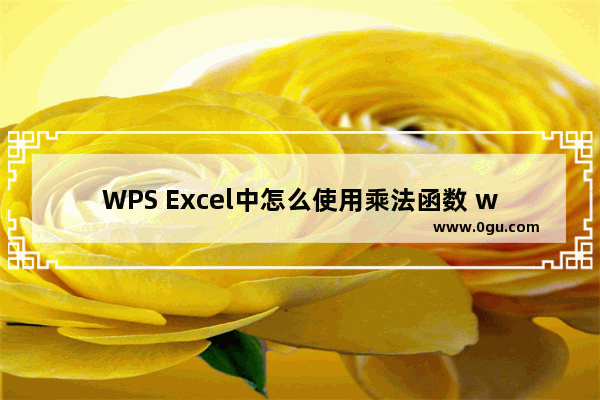 WPS Excel中怎么使用乘法函数 wps Excel乘法函数的使用方法