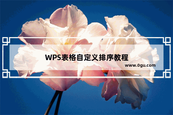 WPS表格自定义排序教程