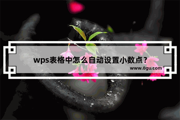 wps表格中怎么自动设置小数点？