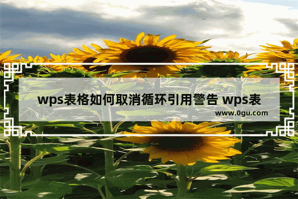 wps表格如何取消循环引用警告 wps表格不再显示循环引用提示窗口的设置方法