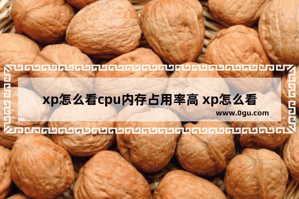 xp怎么看cpu内存占用率高 xp怎么看cpu内存占用率高不高