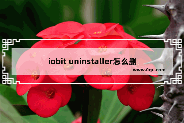 iobit uninstaller怎么删除文件 IObit Uninstaller粉碎文件的方法