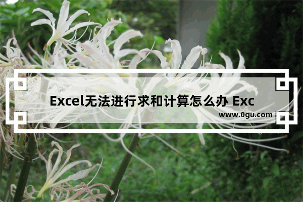 Excel无法进行求和计算怎么办 Excel无法进行求和计算的解决方法