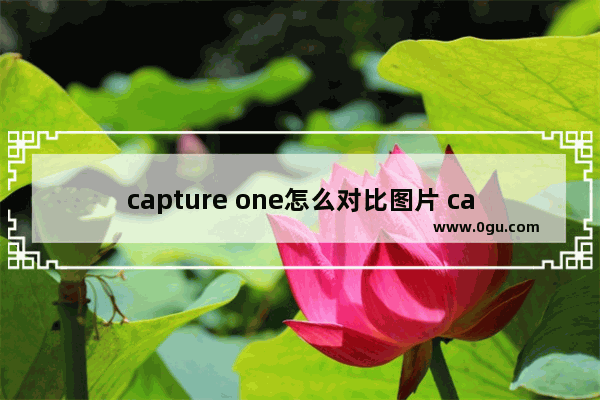 capture one怎么对比图片 capture one10把两张图片进行对比的方法