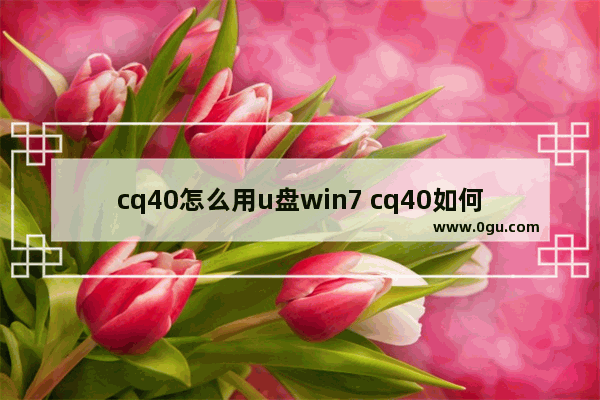 cq40怎么用u盘win7 cq40如何进入bios