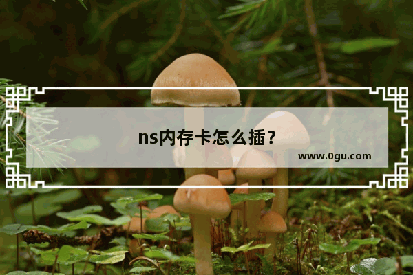 ns内存卡怎么插？