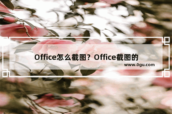 Office怎么截图？Office截图的方法须知