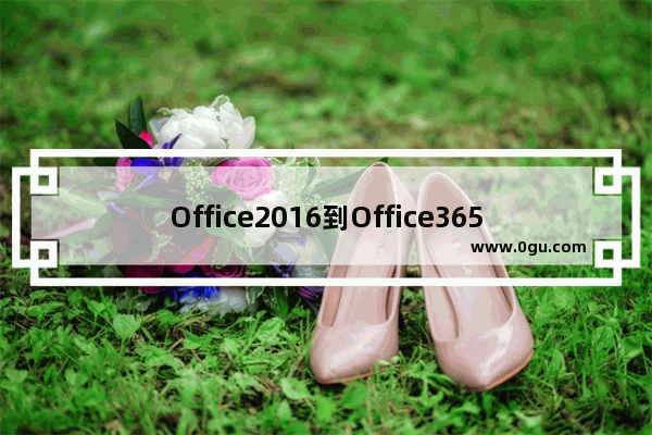 Office2016到Office365的许可证无法更改问题解决