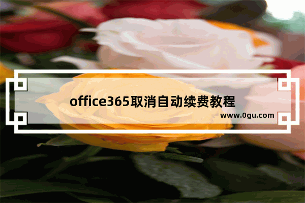 office365取消自动续费教程