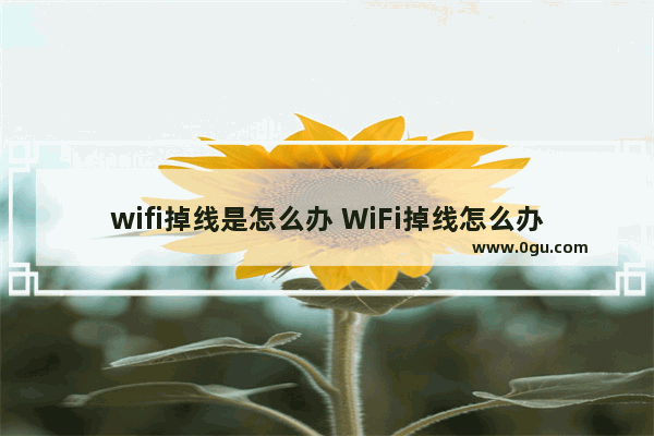 wifi掉线是怎么办 WiFi掉线怎么办