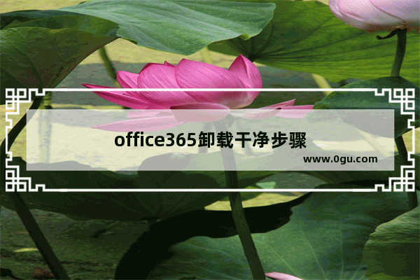 office365卸载干净步骤