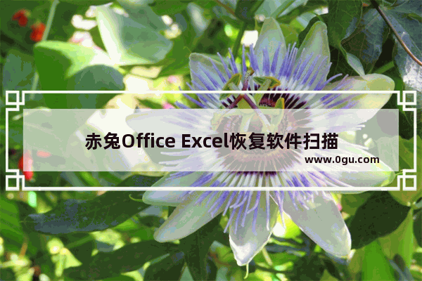 赤兔Office Excel恢复软件扫描修复Excel文件的方法