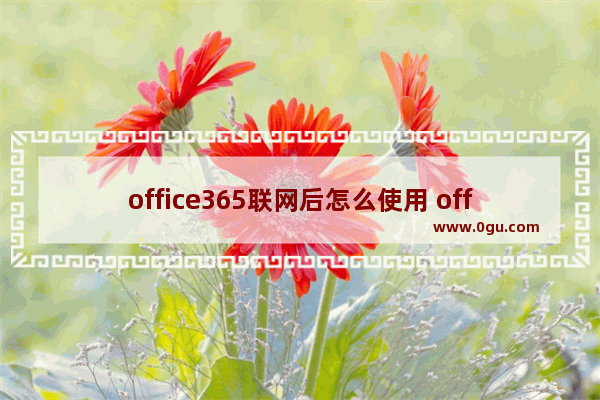 office365联网后怎么使用 office365联网后使用方法