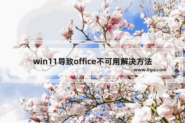 win11导致office不可用解决方法