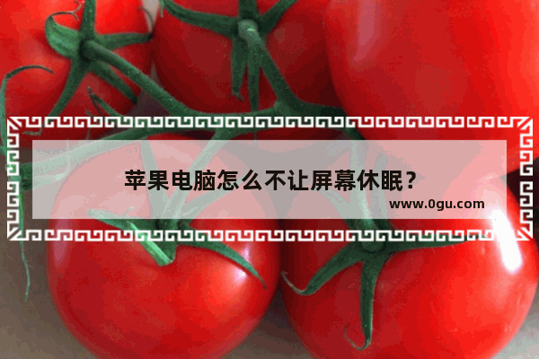 苹果电脑怎么不让屏幕休眠？