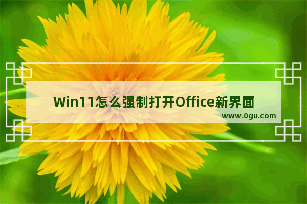 Win11怎么强制打开Office新界面?Win11强制打开Office新界面的方法