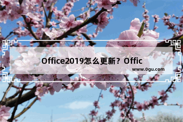 Office2019怎么更新？Office2019更新方法简述