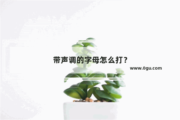 带声调的字母怎么打？