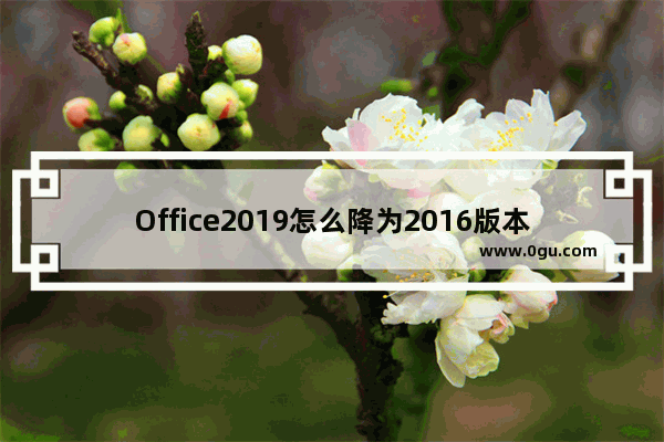 Office2019怎么降为2016版本详细教程