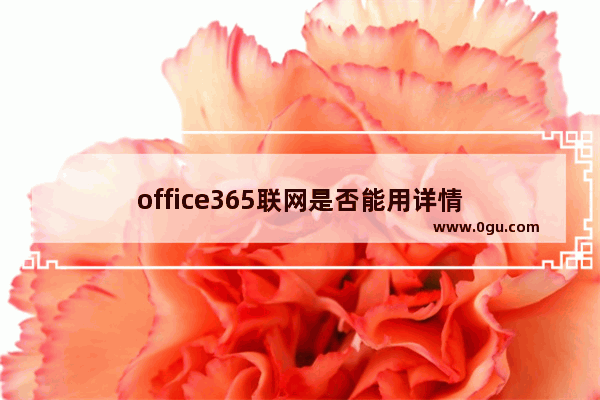 office365联网是否能用详情