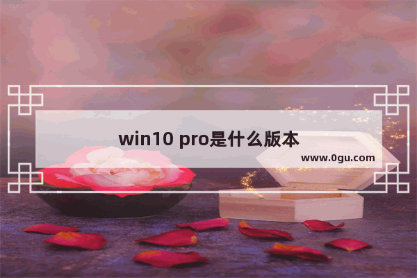 win10 pro是什么版本