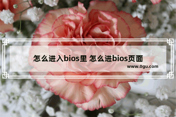 怎么进入bios里 怎么进bios页面