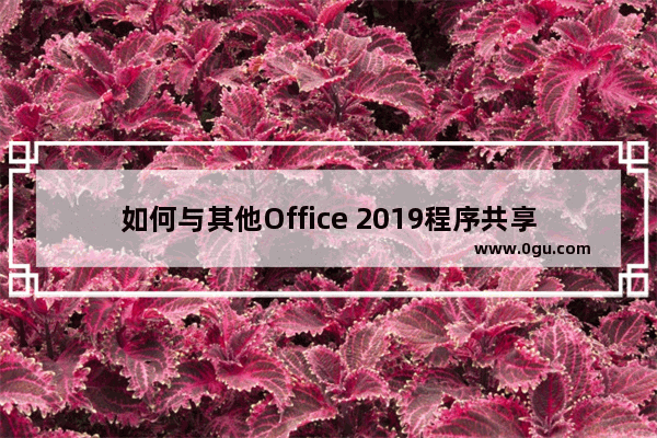 如何与其他Office 2019程序共享数据