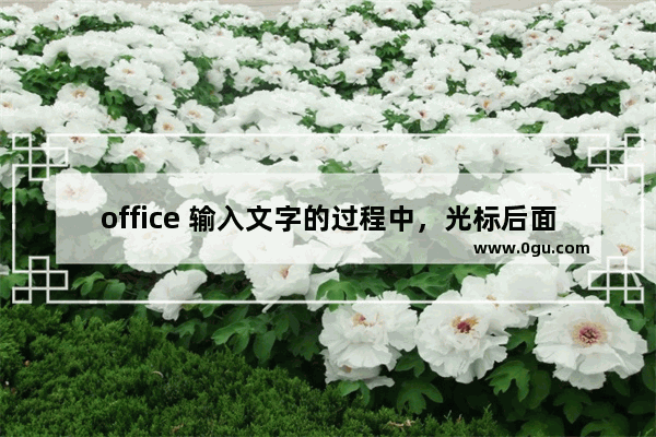 office 输入文字的过程中，光标后面文字的格式与光标前面文字的格式一样