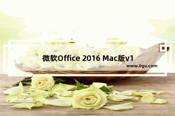 微软Office 2016 Mac版v15.29更新了什么？微软Office 2016 Mac版v15.29更新内容