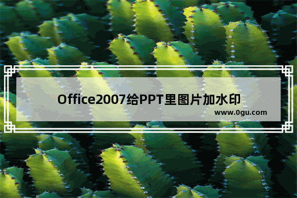 Office2007给PPT里图片加水印的详细操作