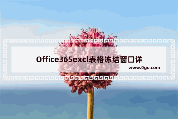 Office365excl表格冻结窗口详情