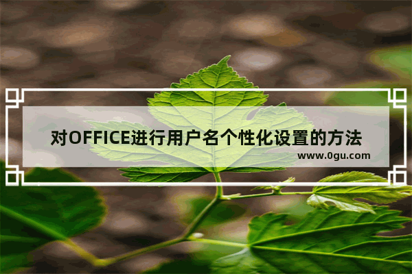 对OFFICE进行用户名个性化设置的方法