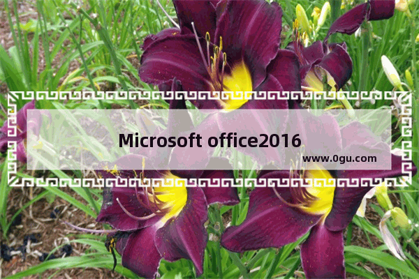 Microsoft office2016怎么进行更新 Microsoft office2016进行更新方法介绍