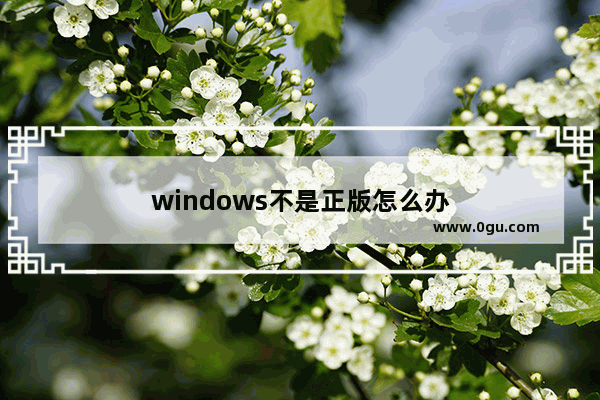 windows不是正版怎么办