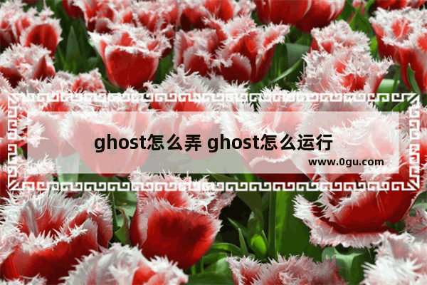 ghost怎么弄 ghost怎么运行