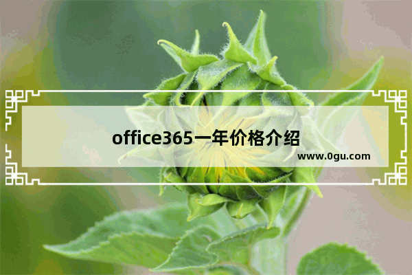 office365一年价格介绍