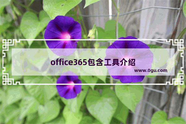 office365包含工具介绍