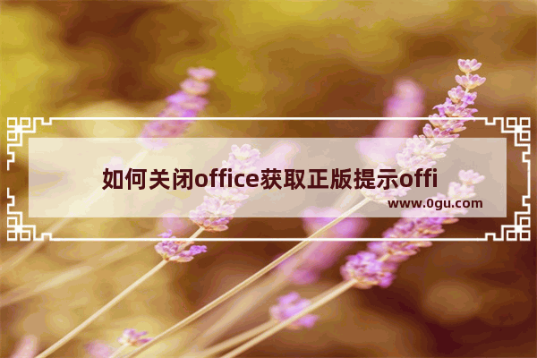 如何关闭office获取正版提示office提示“你可能是盗版软件的受害者”