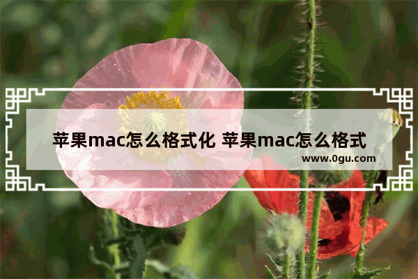 苹果mac怎么格式化 苹果mac怎么格式化电脑