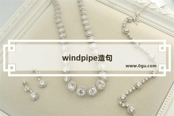 windpipe造句