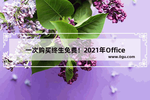 一次购买终生免费！2021年Office新独立版本将重磅推出