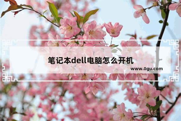 笔记本dell电脑怎么开机