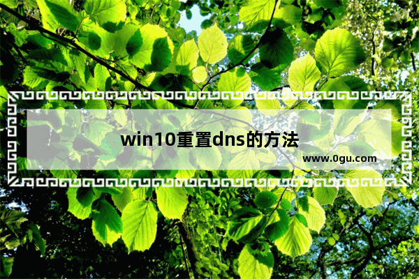 win10重置dns的方法