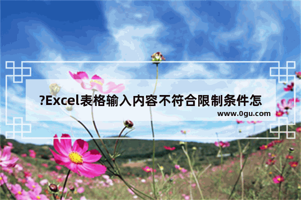 ?Excel表格输入内容不符合限制条件怎么办 Excel解决内容与限制不匹配的方法教程