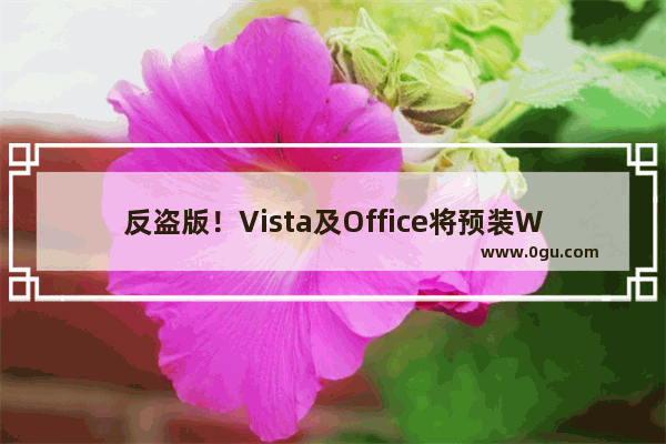 反盗版！Vista及Office将预装WGA