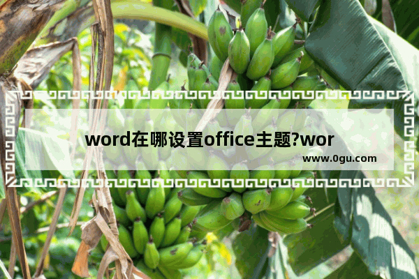 word在哪设置office主题?word黑色主题设置方法