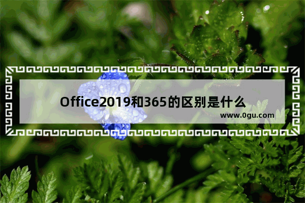 Office2019和365的区别是什么