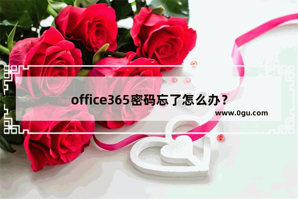 office365密码忘了怎么办？